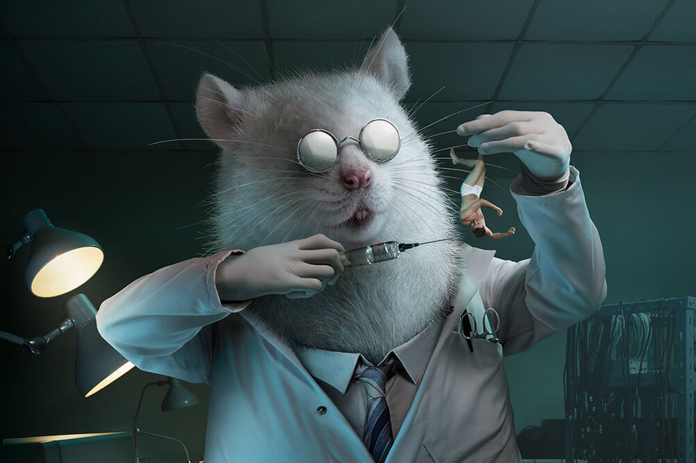 portfolio-wide-6 Creative WordPress HTML Kit